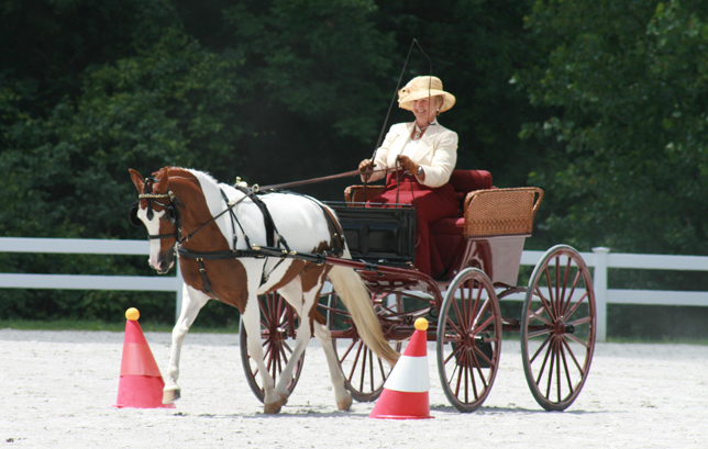 2014 Orleton Pleasure Driving Class Colonial Carriage And Driving Society