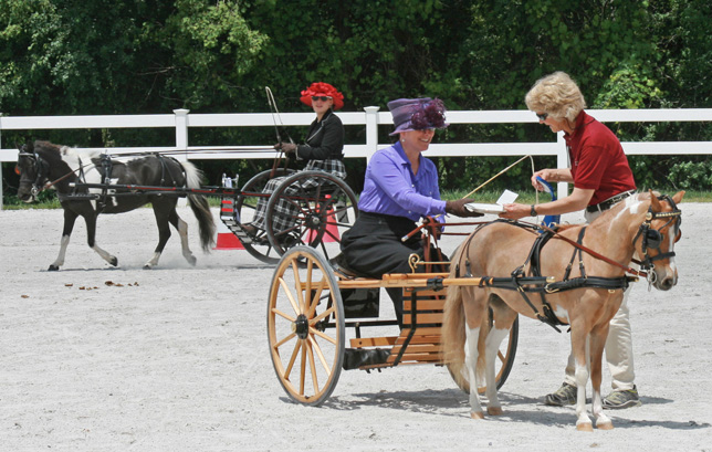 2014 Orleton Farm Pleasure Driving Class Colonial Carriage And